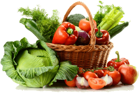 Ilustración decorativa de agricultura