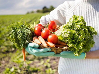 Verduras frescas de temporada